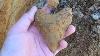 Rare! 4.12 New Caledonia Megalodon Shark Tooth Teeth Fossil Sharks Pacific Jaws